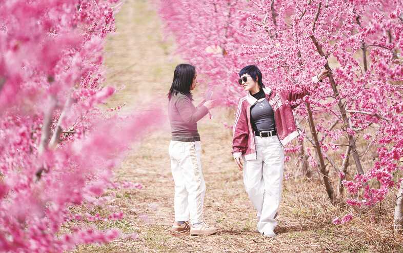 博彩app下载